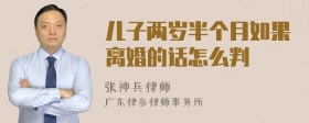 儿子两岁半个月如果离婚的话怎么判