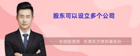 股东可以设立多个公司