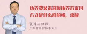 抚养费又未直接抚养方支付方式是什么样的呢，求解