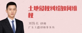 土地侵权纠纷如何维权