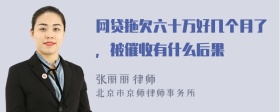 网贷拖欠六十万好几个月了，被催收有什么后果