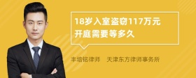 18岁入室盗窃117万元开庭需要等多久