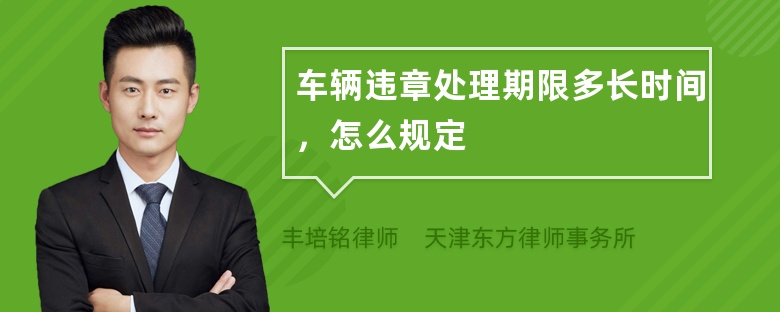 车辆违章处理期限多长时间，怎么规定