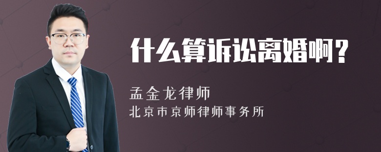 什么算诉讼离婚啊？