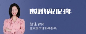 违规代码2023年