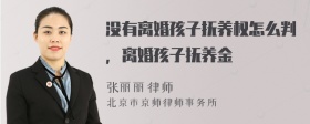 没有离婚孩子抚养权怎么判，离婚孩子抚养金