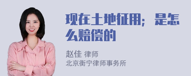 现在土地征用；是怎么赔偿的