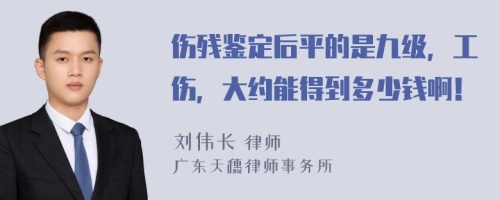 伤残鉴定后平的是九级，工伤，大约能得到多少钱啊！