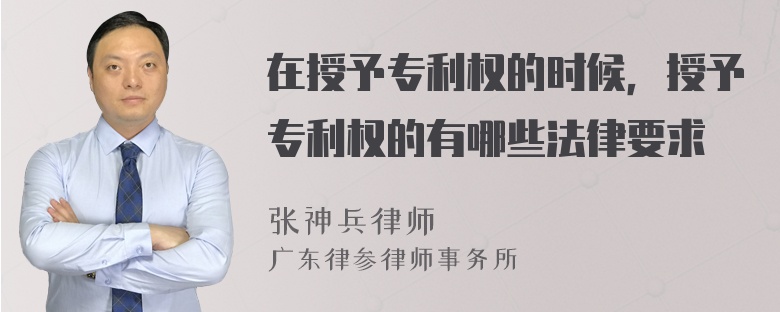在授予专利权的时候，授予专利权的有哪些法律要求
