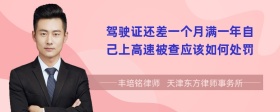 驾驶证还差一个月满一年自己上高速被查应该如何处罚