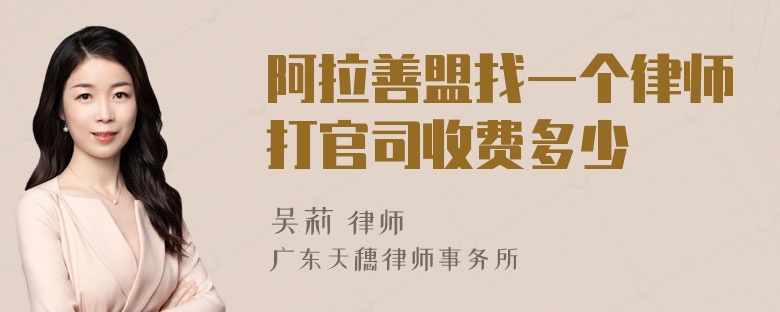 阿拉善盟找一个律师打官司收费多少