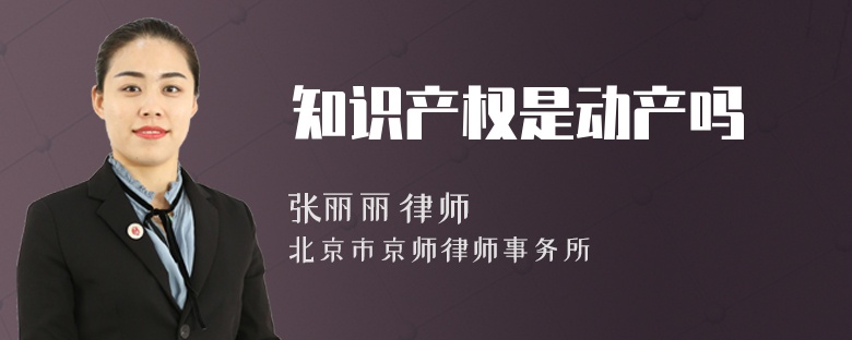 知识产权是动产吗
