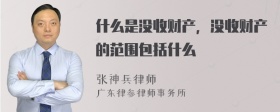 什么是没收财产，没收财产的范围包括什么