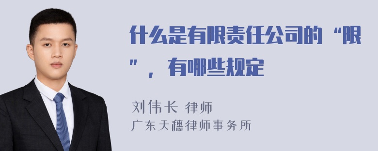 什么是有限责任公司的“限”，有哪些规定