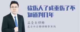 砍伤人了成重伤了不知道判几年