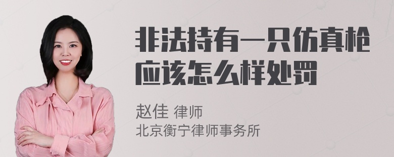 非法持有一只仿真枪应该怎么样处罚