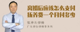 离婚后应该怎么支付抚养费一个月付多少