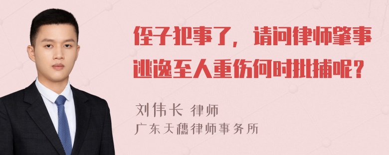 侄子犯事了，请问律师肇事逃逸至人重伤何时批捕呢？