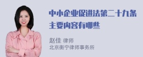 中小企业促进法第二十九条主要内容有哪些