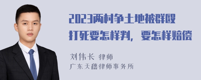 2023两村争土地被群殴打死要怎样判，要怎样赔偿