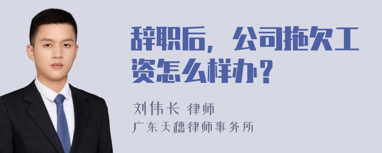 辞职后，公司拖欠工资怎么样办？