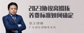 2023协议离婚抚养费标准如何确定