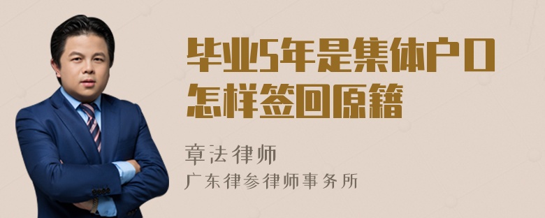 毕业5年是集体户口怎样签回原籍