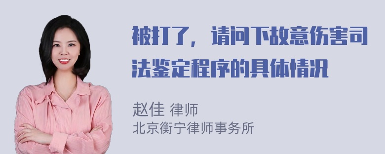 被打了，请问下故意伤害司法鉴定程序的具体情况