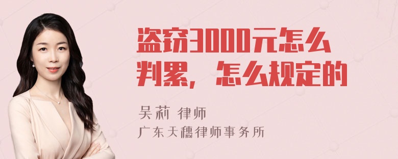 盗窃3000元怎么判累，怎么规定的