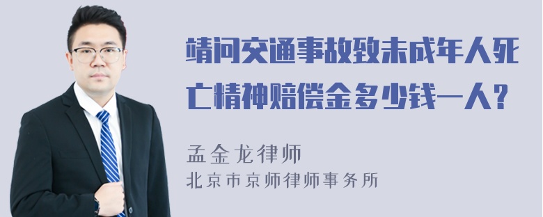 靖问交通事故致未成年人死亡精神赔偿金多少钱一人？