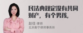 民法典规定没有共同财产，有个男孩，