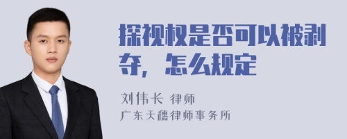 探视权是否可以被剥夺，怎么规定
