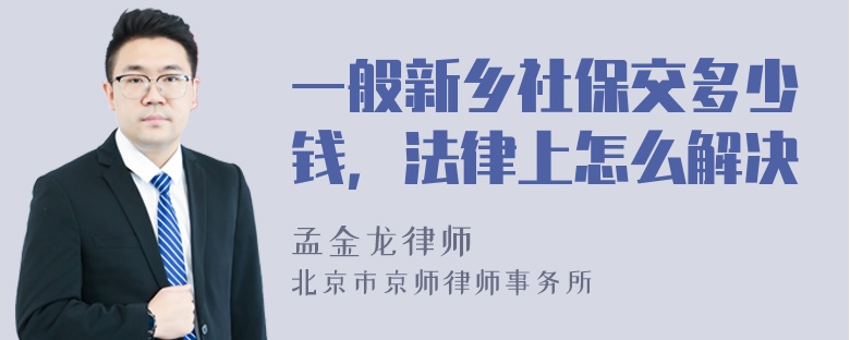 一般新乡社保交多少钱，法律上怎么解决