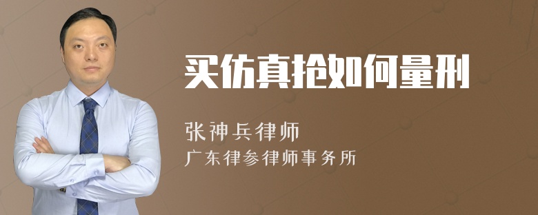 买仿真抢如何量刑