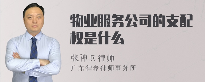 物业服务公司的支配权是什么