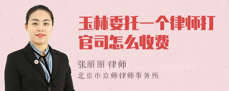 玉林委托一个律师打官司怎么收费