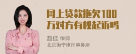 网上贷款拖欠100万对方有权起诉吗