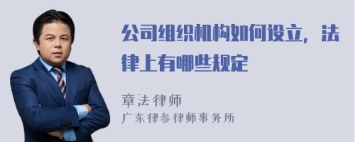 公司组织机构如何设立，法律上有哪些规定