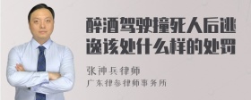 醉酒驾驶撞死人后逃逸该处什么样的处罚