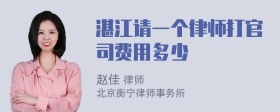 湛江请一个律师打官司费用多少