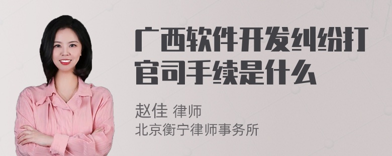 广西软件开发纠纷打官司手续是什么