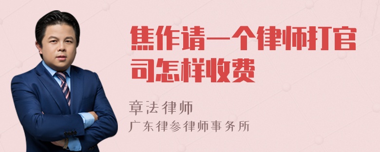 焦作请一个律师打官司怎样收费