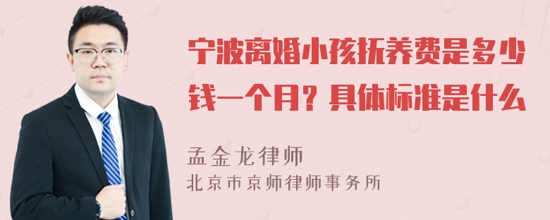 宁波离婚小孩抚养费是多少钱一个月？具体标准是什么