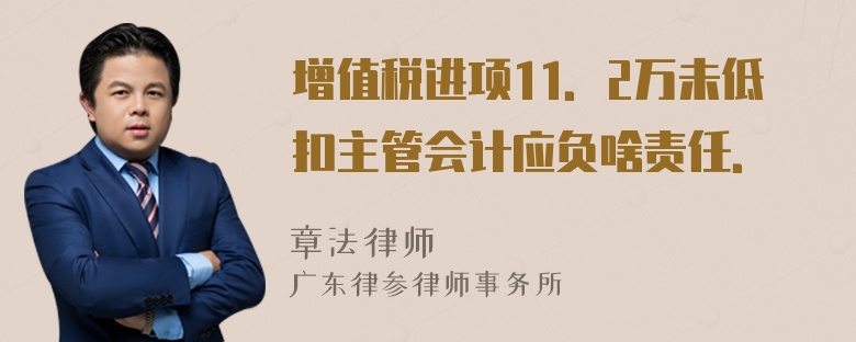 增值税进项11．2万未低扣主管会计应负啥责任．