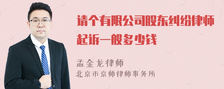 请个有限公司股东纠纷律师起诉一般多少钱