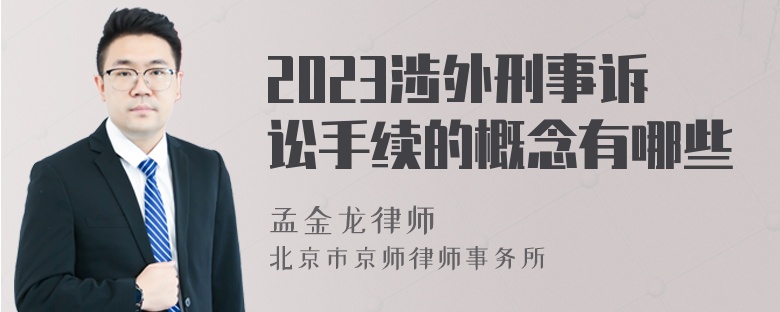 2023涉外刑事诉讼手续的概念有哪些