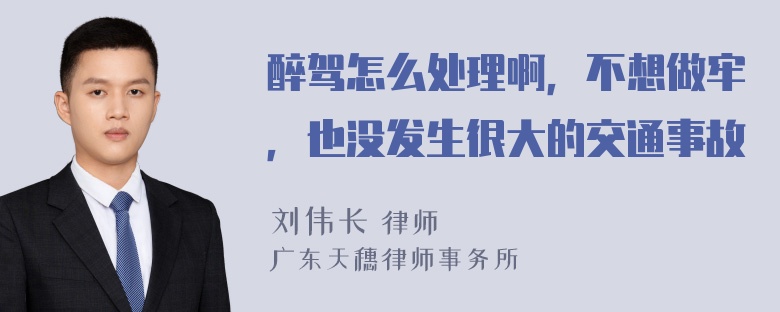 醉驾怎么处理啊，不想做牢，也没发生很大的交通事故