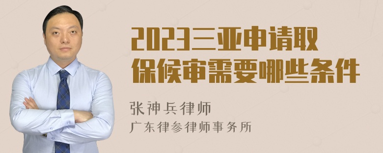 2023三亚申请取保候审需要哪些条件