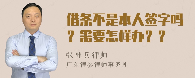 借条不是本人签字吗？需要怎样办？？