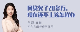 网贷欠了20多万。现在还不上该怎样办